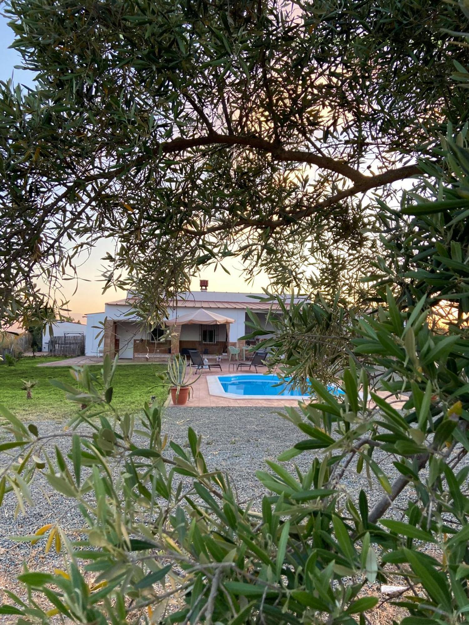 Appartement Hacienda Donaire Beas Extérieur photo